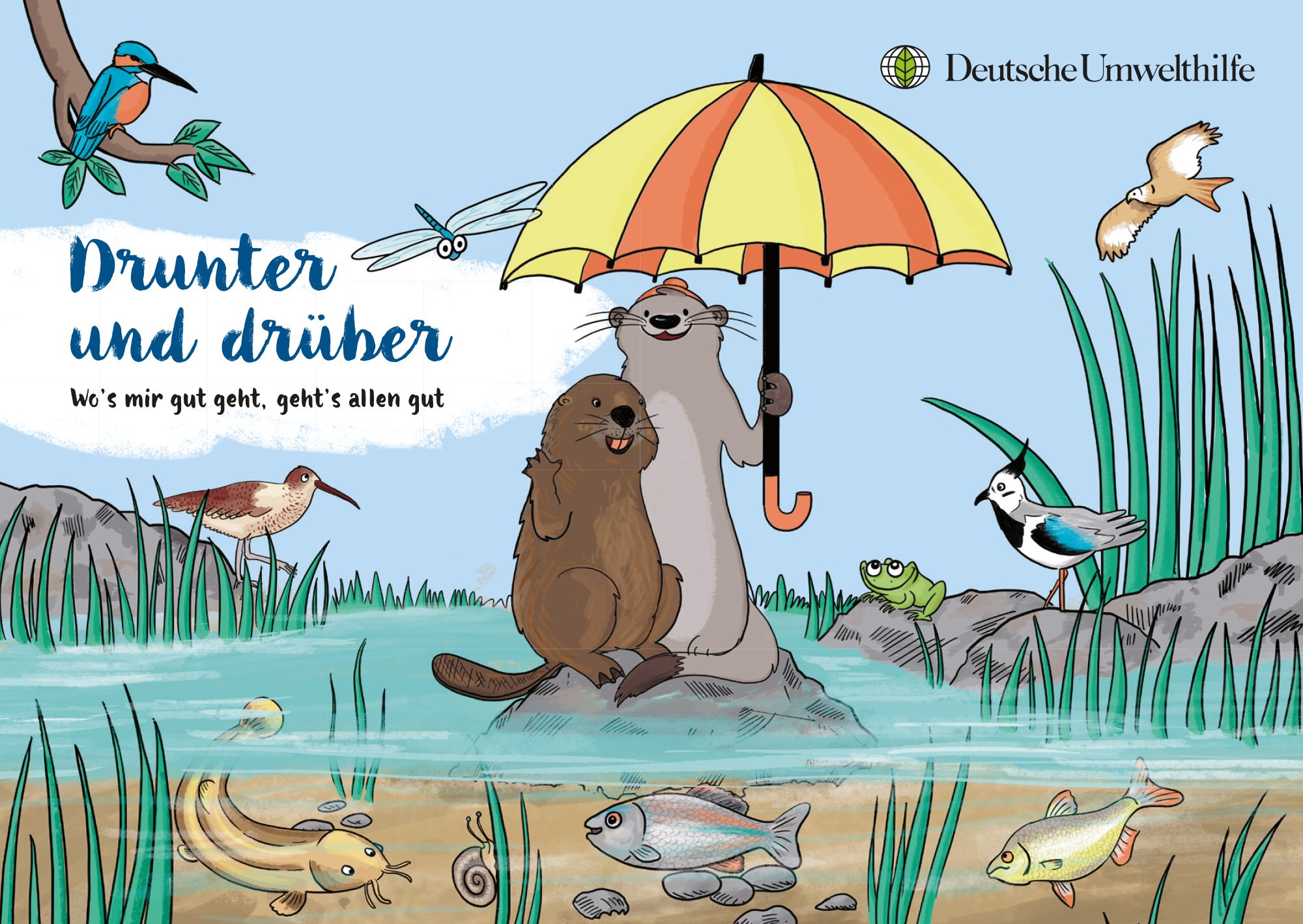 Postkarte "Drunter und Drüber", Fischotterschutz im Drömling